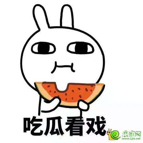 娱乐吃瓜酱曾经有多火,曾经的网络红人，火遍大江南北的传奇故事